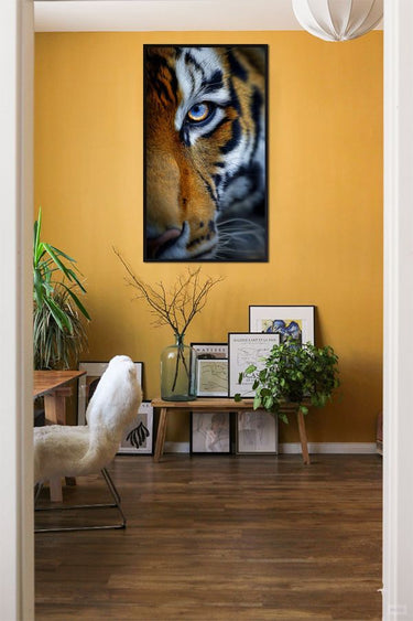 Tiger gaze